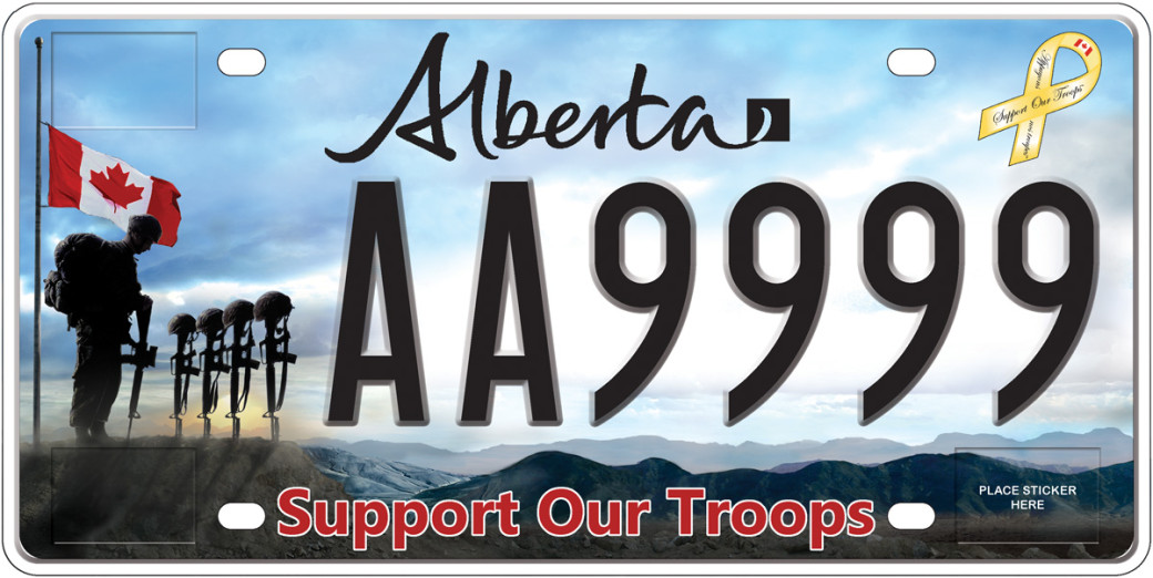 Licence Plate Program Image