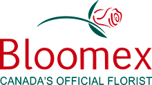 bloomex-1.png